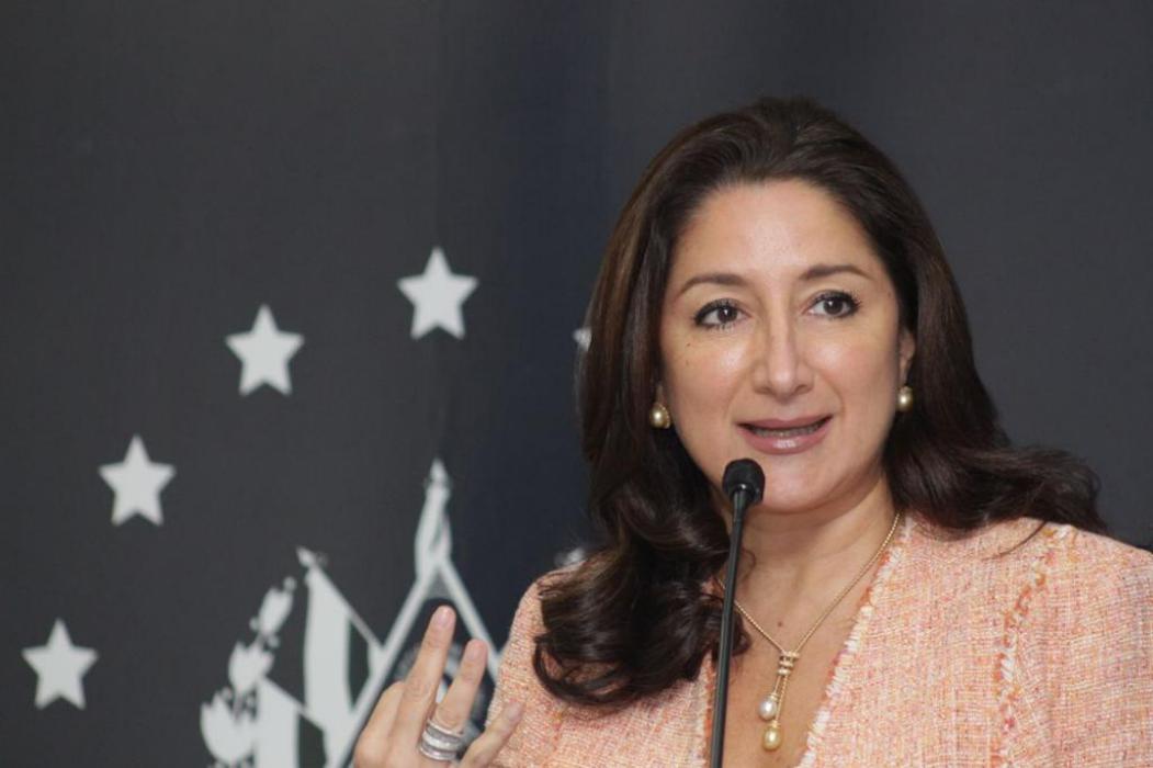 Michell Sol: Los políticos de antes arrastraron al país a la delincuencia michell-sol-los-politicos-de-antes-arrastraron-al-pais-a-la-delincuencia